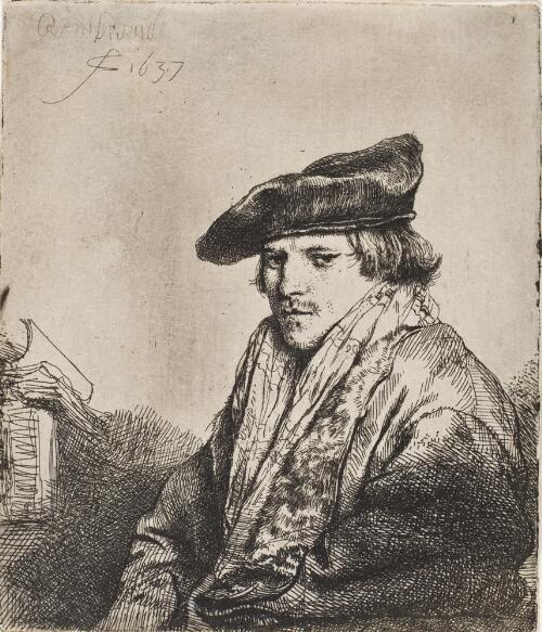 Young Man in a Velvet Cap (Petrus Sylvius?)