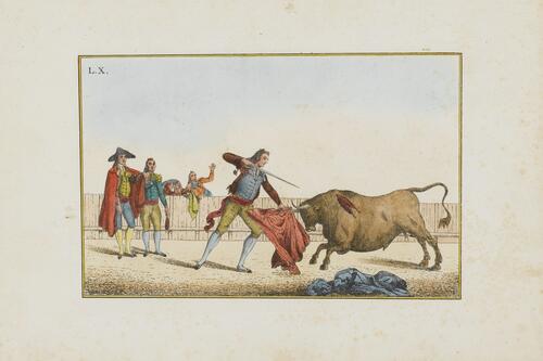 Collection of Principal Moves in a Bullfight: Killing the Bull