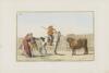 Carnicero, Antonio - Collection of Principal Moves in a Bullfight: Awaiting the Halted Bull