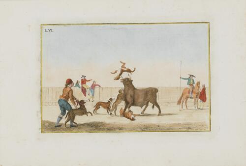 Collection of Principal Moves in a Bullfight: Dogs Are Set Loose on the Bull